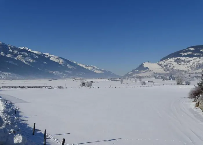 Salzach Lejlighed Piesendorf